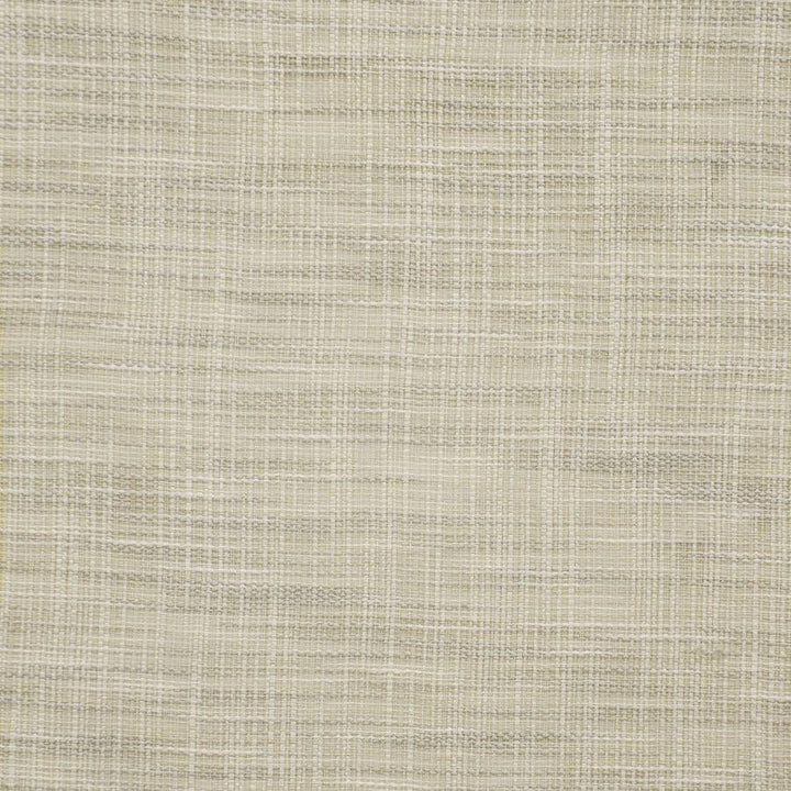 Luke # 132 Sandstone by Maxwell Designer Fabric Pure & Simple Ix 100% POLYESTER INDIA 54" - Swanky Fabrics -