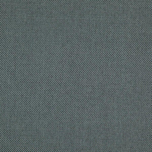 Light Year # 205 Goliath by Maxwell Designer Fabric