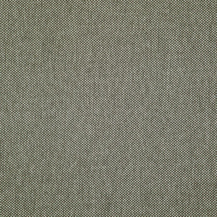 Light Year # 213 Griffin by Maxwell Designer Fabric 100% POLYESTER CHINA 56" - Swanky Fabrics -