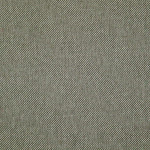 Light Year # 213 Griffin by Maxwell Designer Fabric
