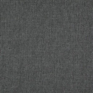 Light Year # 214 Raven by Maxwell Designer Fabric