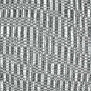 Light Year # 215 Feather by Maxwell Designer Fabric