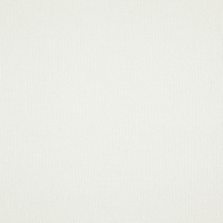 Light Year # 216 Swan by Maxwell Designer Fabric 100% POLYESTER CHINA 56" - Swanky Fabrics -