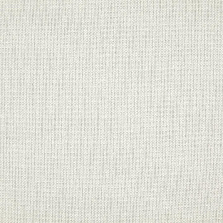 Light Year # 217 Parchment by Maxwell Designer Fabric 100% POLYESTER CHINA 56" - Swanky Fabrics -