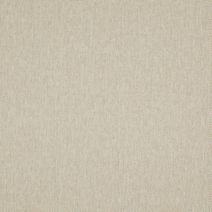 Light Year # 219 Nougat by Maxwell Designer Fabric 100% POLYESTER CHINA 56" - Swanky Fabrics -