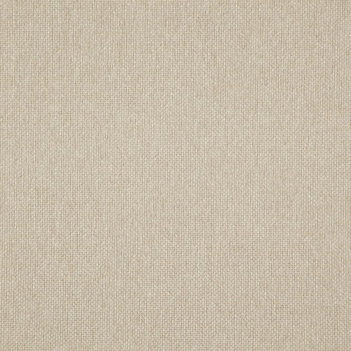 Light Year # 220 Raffia by Maxwell Designer Fabric 100% POLYESTER CHINA 56" - Swanky Fabrics -