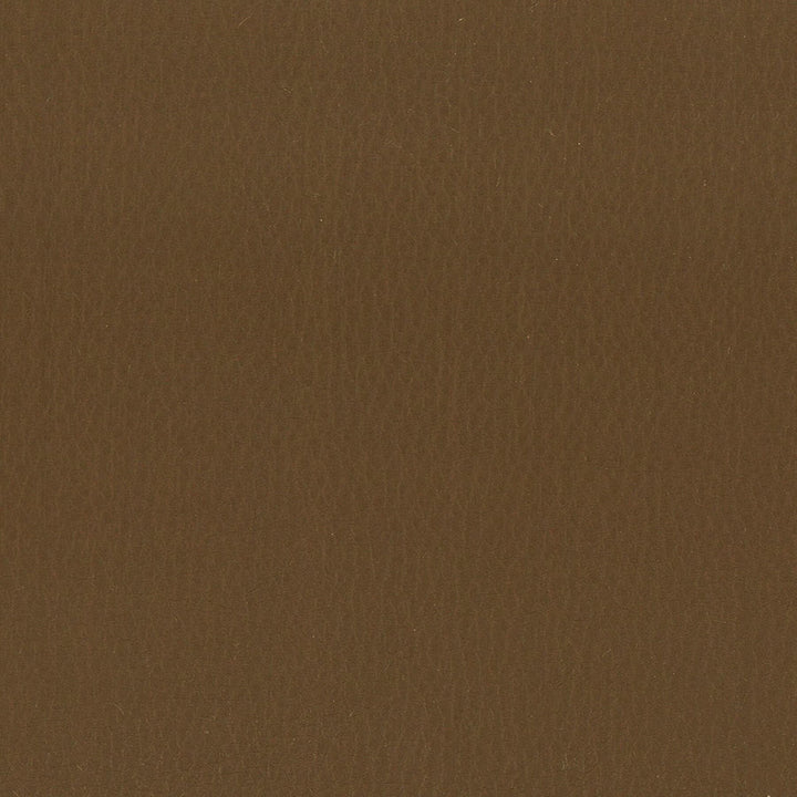 Lodge 12 Walnut by Stout Fabric Stout Fabric Lodge 12 WalnutFabric LEATHER LOOKS III PERFORMANCE CHINA </p><p>Repeat: H: 0.000, V: 0.000 54 in - Fabric Carolina -
