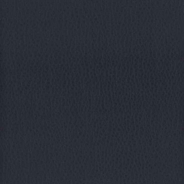 Lodge 3 Regency by Stout Designer Fabric LEATHER LOOKS III PERFORMANCE 100%POU CHINA FLAME RETARDANT-U.F.A.C. CLASS 1 FLAME RETARDANT-N.F.P.A. 260A CLASS 1 FLAME RETARDANT-FMVSS 302 PERFORMANCE RATED FABRIC WYZENBEEK 500 000 DOUBLE RUB WEAR TEST(EXTREMELY HEAVY DUTY) CATB 117-2013 Horizontal: 0 and Vertical: 0 54 in - Swanky Fabrics -