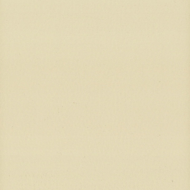 Lodge 7 Oatmeal by Stout Designer Fabric LEATHER LOOKS III PERFORMANCE 100%POU CHINA FLAME RETARDANT-U.F.A.C. CLASS 1 FLAME RETARDANT-N.F.P.A. 260A CLASS 1 FLAME RETARDANT-FMVSS 302 PERFORMANCE RATED FABRIC WYZENBEEK 500 000 DOUBLE RUB WEAR TEST(EXTREMELY HEAVY DUTY) CATB 117-2013 Horizontal: 0 and Vertical: 0 54 in - Swanky Fabrics -