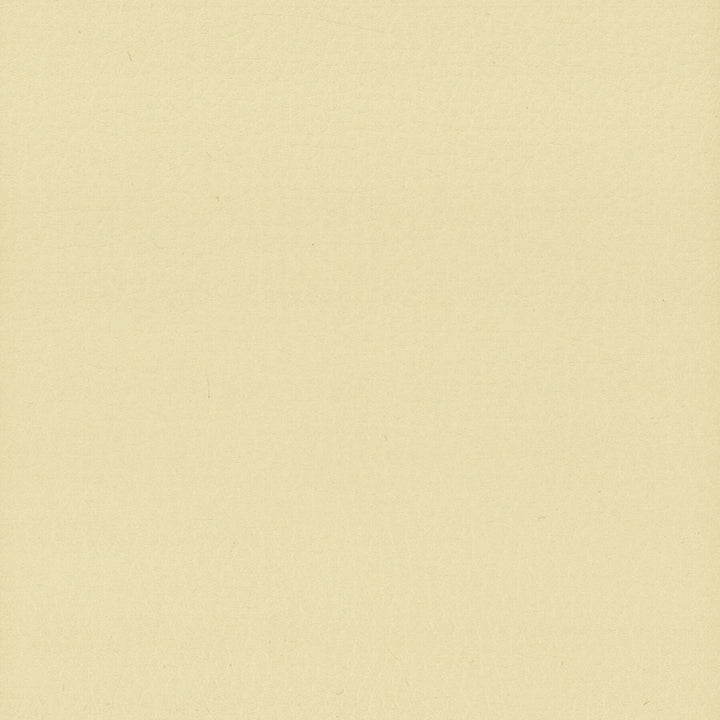 Lodge 9 Chamois by Stout Designer Fabric LEATHER LOOKS III PERFORMANCE 100%POU CHINA FLAME RETARDANT-U.F.A.C. CLASS 1 FLAME RETARDANT-N.F.P.A. 260A CLASS 1 FLAME RETARDANT-FMVSS 302 PERFORMANCE RATED FABRIC WYZENBEEK 500 000 DOUBLE RUB WEAR TEST(EXTREMELY HEAVY DUTY) CATB 117-2013 Horizontal: 0 and Vertical: 0 54 in - Swanky Fabrics -