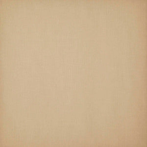 Lodge 33J7711 By JF Designer Fabric