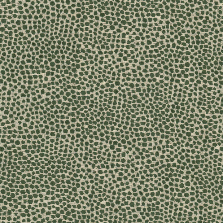 Lollypop 3 Bottle by Stout Fabric Stout Fabric Lollypop 3 BottleFabric COMFORTABLE LIVING SAGE/MOSS 100%POL CHINA </p><p>Repeat: H: 13.750, V: 7.000 55.5 in - Fabric Carolina -
