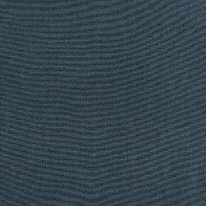 Lonnie 1 Ink by Stout Designer Fabric THE ART OF COLOR OASIS 100%COT USA FLAME RETARDANT-U.F.A.C. CLASS 1 CATB 117-2013 WYZENBEEK 51 000 DOUBLE RUB WEAR TEST (HEAVY DUTY) Horizontal: 0.000 and Vertical: 0.000 58 in - Swanky Fabrics -