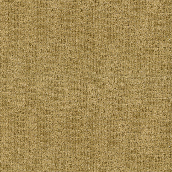 Lorenzo 509 Marigold by ABBEYSHEA Designer Fabric CN </p><p>Repeat: Horizontal: and Vertical: - Swanky Fabrics -