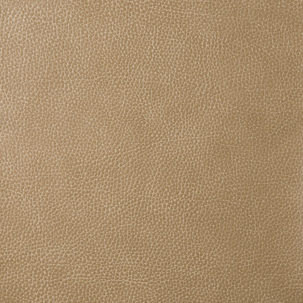 Loris-30 by Kravet Design Designer Fabric POLY VINYL CHLORIDE - 75%;POLYESTER - 16%;COTTON - 9% Korea, Republic of HEAVY Horizontal: 0 and Vertical: 0 54 - Swanky Fabrics -