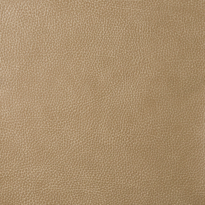 Loris-30 by Kravet Design Designer Fabric POLY VINYL CHLORIDE - 75%;POLYESTER - 16%;COTTON - 9% Korea, Republic of HEAVY Horizontal: 0 and Vertical: 0 54 - Swanky Fabrics -
