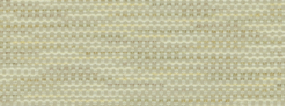 Lovisa 145 Travertine by Covington Designer Fabric