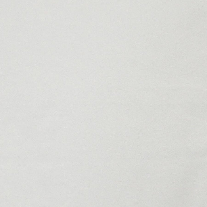 Laertes # 638 Snow by Maxwell Designer Fabric Sheer Textures 100% POLYESTER TURKEY 118" - Swanky Fabrics -