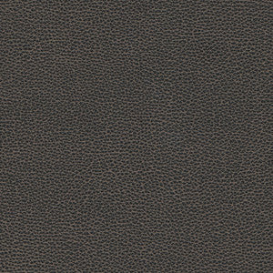 Levant-Nj # 1176 Graphite by Maxwell Designer Fabric