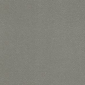 Levant-Nj # 1182 Cirrus by Maxwell Designer Fabric