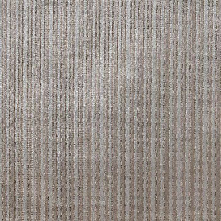 Lugano # 622 Pearl by Maxwell Designer Fabric Performance Cut Velvets 48% POLYESTER
47% VISCOSE
5% COTTON BELGIUM H-1.7" 55" - Swanky Fabrics -