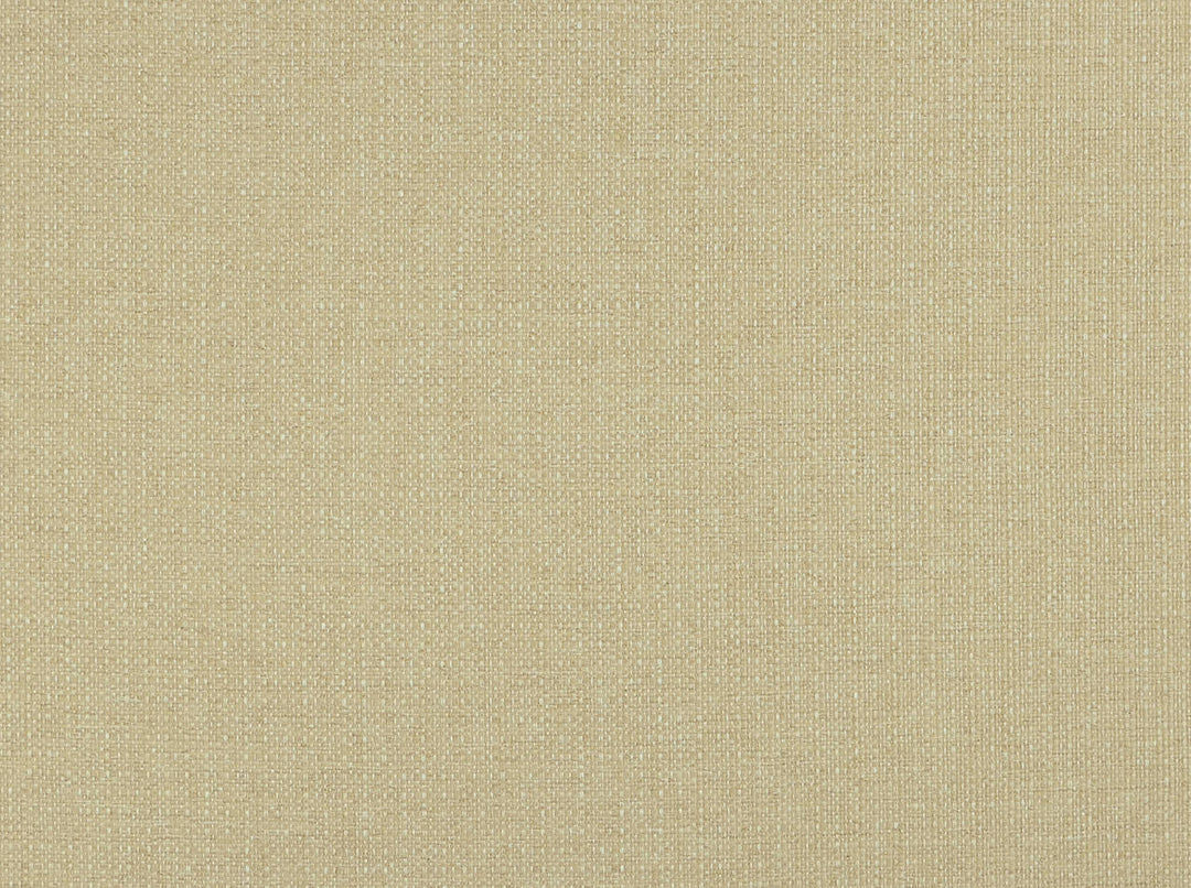 Lucas 118 Sandstone by Covington Designer Fabric