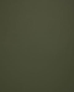 Lucky Olive by Norbar Designer Fabric LUCKY 100% POLYURETAHNE CHINA 54 - Swanky Fabrics -