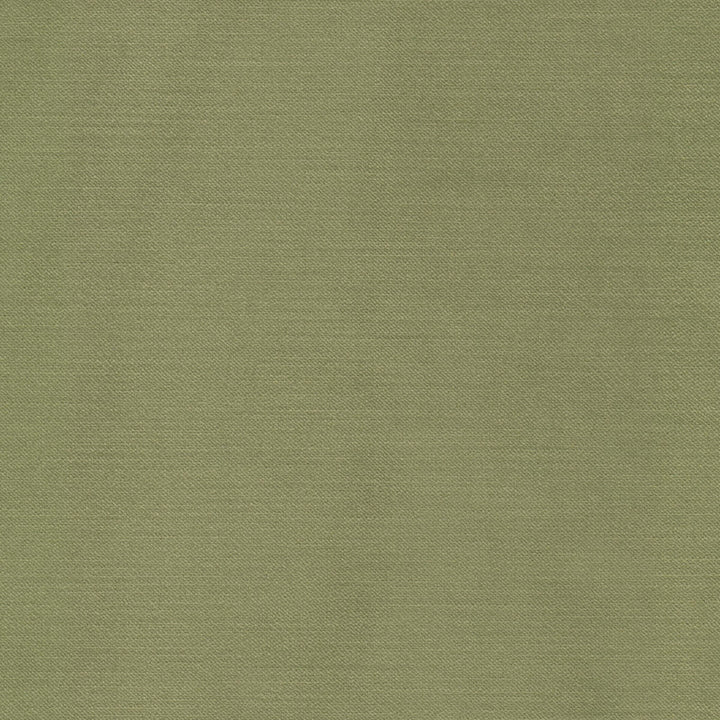Luxor 3 Sage by Stout Fabric Stout Fabric Luxor 3 SageFabric RAINBOW LIBRARY PEAR/JUNGLE 100%POL TURKEY </p><p>Repeat: H: 0.000, V: 0.000 55 in - Fabric Carolina -
