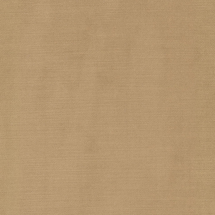 Luxor 6 Caramel by Stout Fabric Stout Fabric Luxor 6 CaramelFabric SOLID VELVETS PLUSH PALETTE 100%POL TURKEY </p><p>Repeat: H: 0.000, V: 0.000 55 in - Fabric Carolina -
