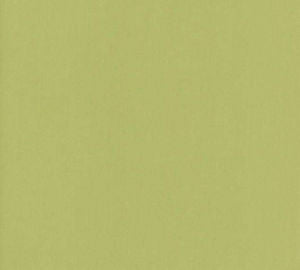 Luxor Celery by Norbar Designer Fabric