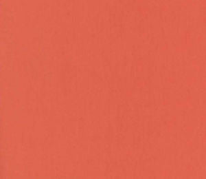 Luxor Salmon by Norbar Designer Fabric LUXOR 100% COMBED COTTON INDIA 54 - Swanky Fabrics -