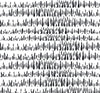 Brush Marks Black and White LW51800 by Seabrook Designs Designer Wallpaper