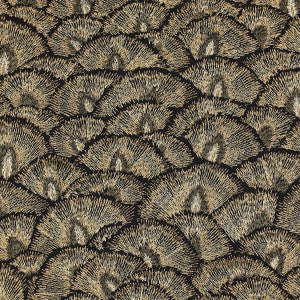 Proud 5 by Kravet Design Designer Fabric