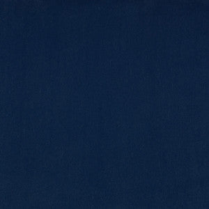 Guru 14 by Kravet Design Designer Fabric