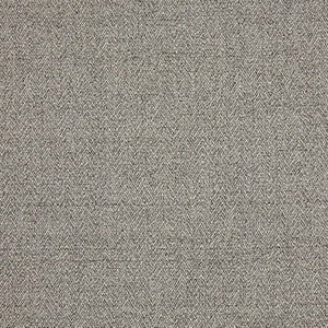 Brummell LZ-30363.09.0 by Kravet Designer Fabric