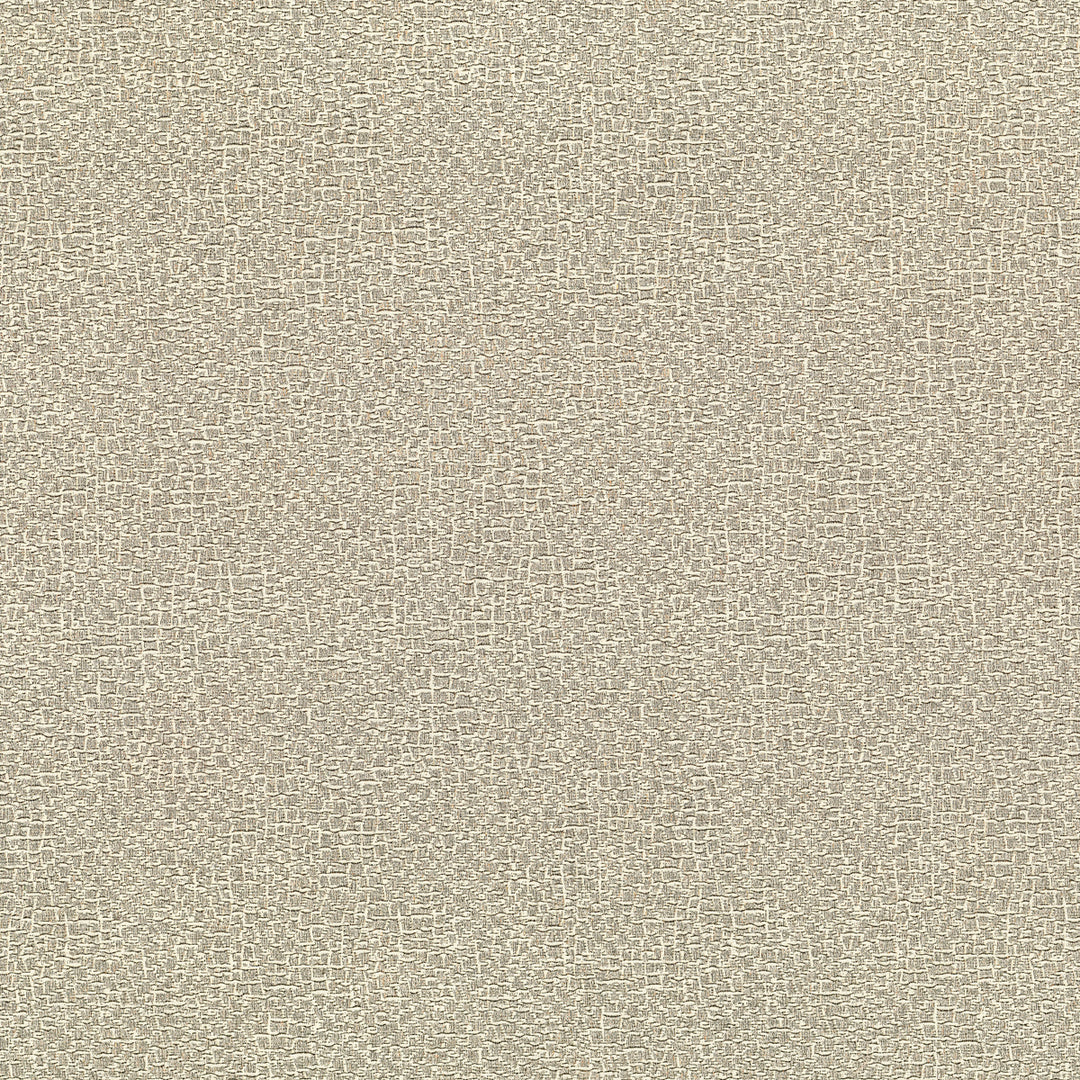 Elephas - 06 LZ-30443.06.0 by Kravet Couture Designer Fabric