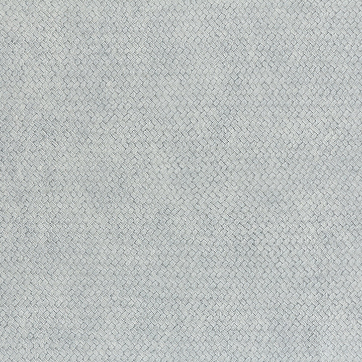 Cesto 9 by Kravet Design Designer Wallcovering LIZZO SYNTHETIC - 80%;NATURAL PRODUCTS - 20% Spain Horizontal: 27.5 and Vertical: 27.5 27.5 - Swanky Fabrics -