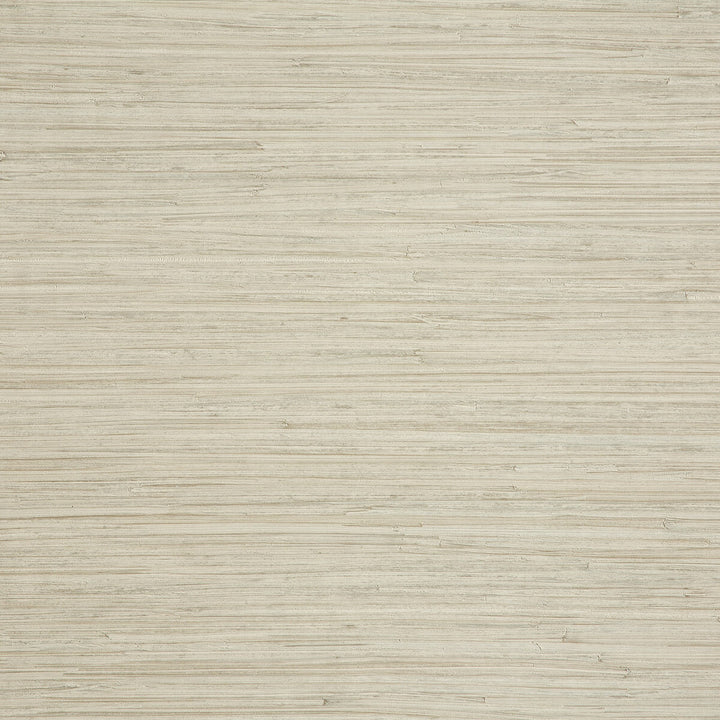 Enea 6 by Kravet Design Designer Wallcovering LIZZO SYNTHETIC - 75%;NATURAL PRODUCTS - 25% Spain - Horizontal: 27.6 and Vertical: 25.2 27.6 - Swanky Fabrics -