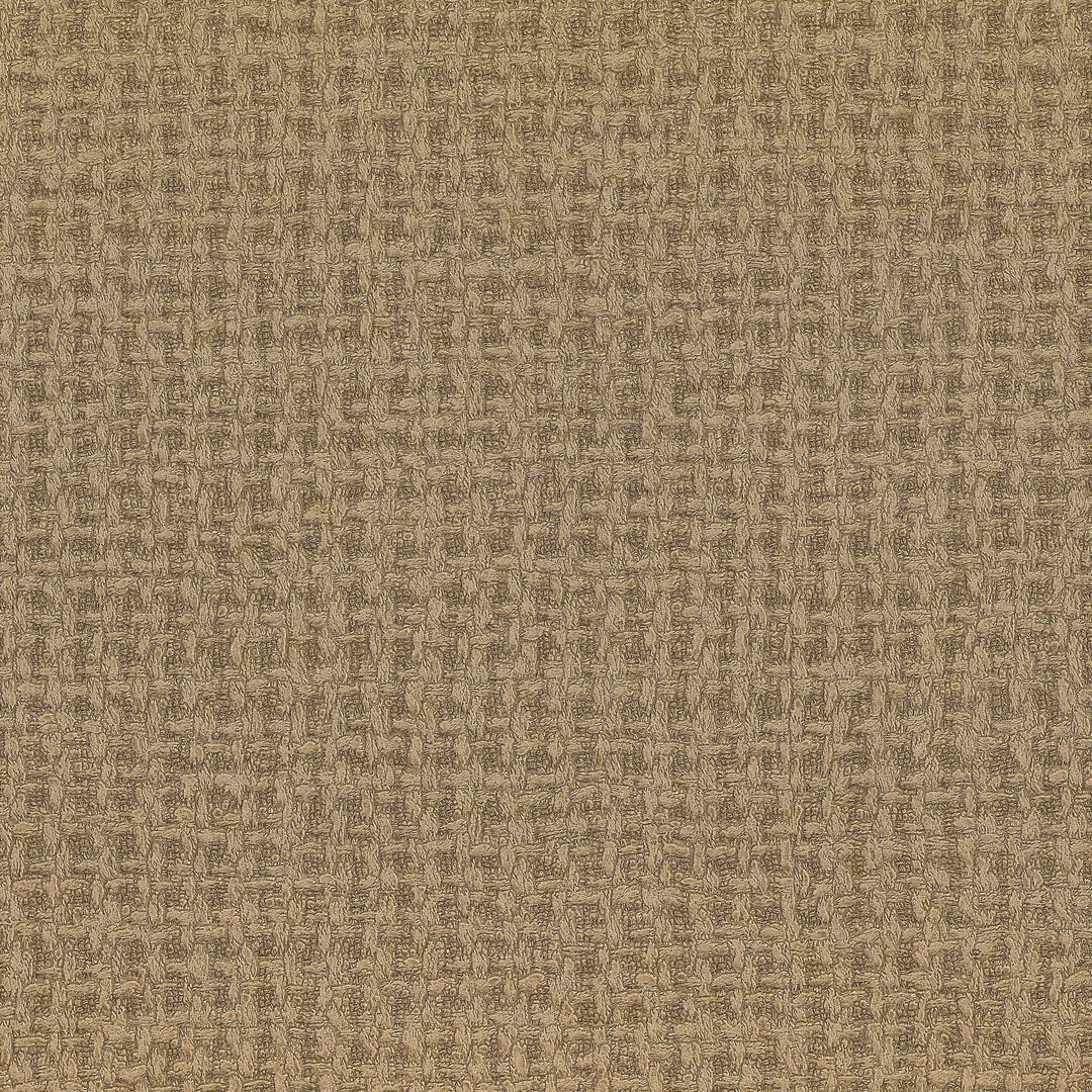 Tappeto - 01 LZW-30199.01.0 by Kravet Design Designer Wallcovering