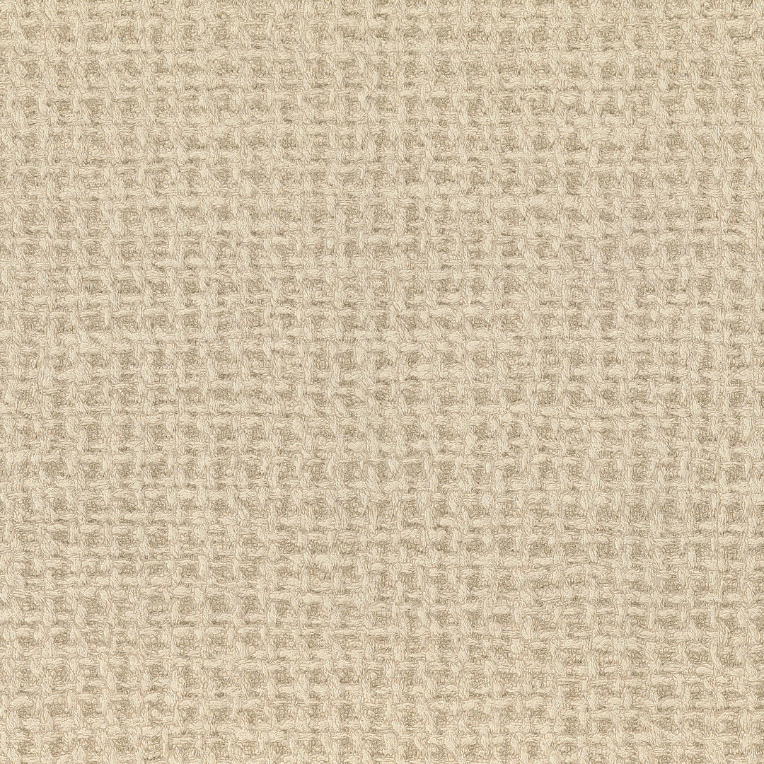 Tappeto - 06 LZW-30199.06.0 by Kravet Design Designer Wallcovering