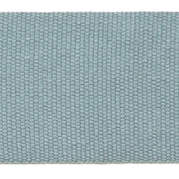 Le Lin 2 Tape Dark Green by Europatex Designer Fabric Le Lin 63% Linen, 37% Rayon 2.00 inches - Swanky Fabrics -