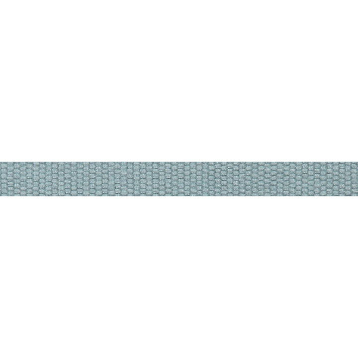 Le Lin Micro Tape Dark Green by Europatex Designer Fabric Le Lin 63% Linen, 37% Rayon 0.56 inches - Swanky Fabrics -