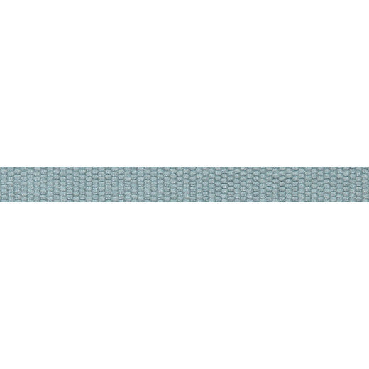 Le Lin 9/16" Tape Dark Green by Europatex Designer Fabric Le Lin Collection 63% Linen / 37% Rayon China See Sample Horizontal: N/A and Vertical: N/A 0.56 inches  - Swanky Fabrics -