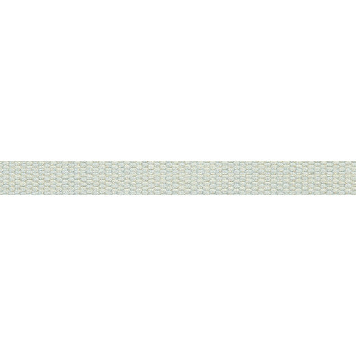 Le Lin 9/16" Tape Spa by Europatex Designer Fabric Le Lin Collection 63% Linen / 37% Rayon China See Sample Horizontal: N/A and Vertical: N/A 0.56 inches  - Swanky Fabrics -