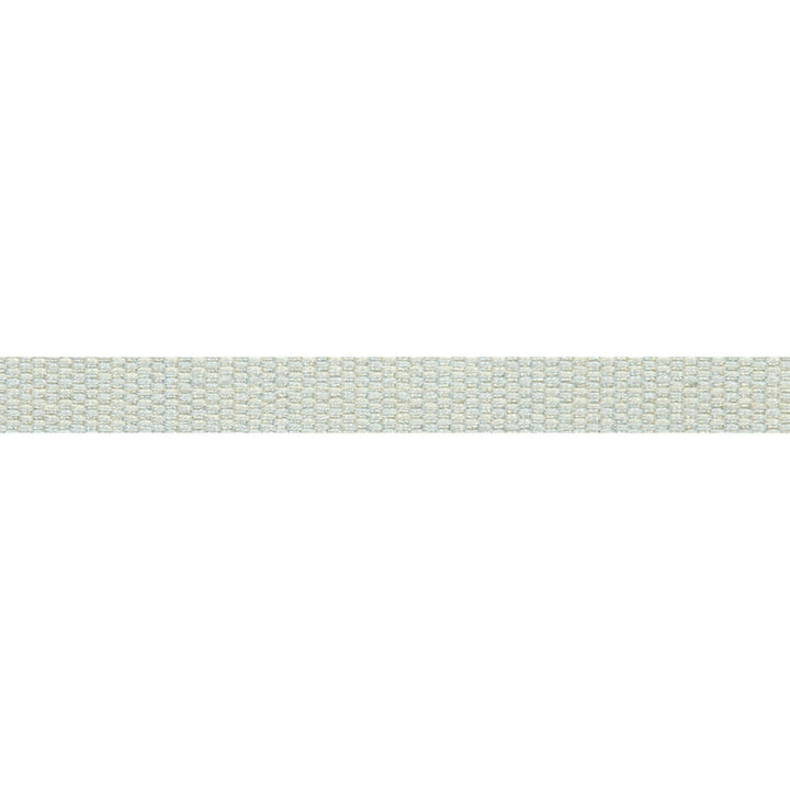 Le Lin Micro Tape Spa by Europatex Designer Fabric Le Lin 63% Linen, 37% Rayon 0.56 inches - Swanky Fabrics -