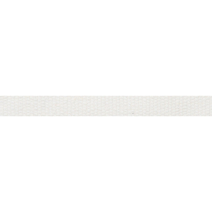 Le Lin Micro Tape White by Europatex Designer Fabric Le Lin 63% Linen, 37% Rayon 0.56 inches - Swanky Fabrics -
