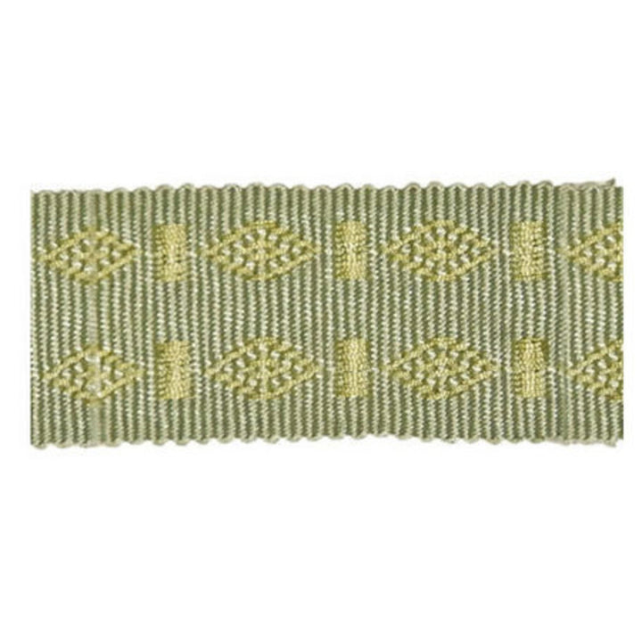 Le Puy Willow by Europatex Designer Fabric Elegant Dream 100% Rayon 1.75 inches - Swanky Fabrics -
