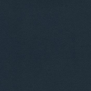 Liberty Academy Blue by Enduratex Designer Fabric