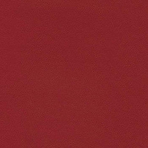 Liberty American Beauty by Enduratex Designer Fabric