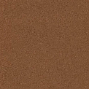 Liberty Brown Sugar by Enduratex Designer Fabric